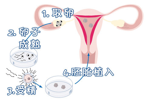 男科